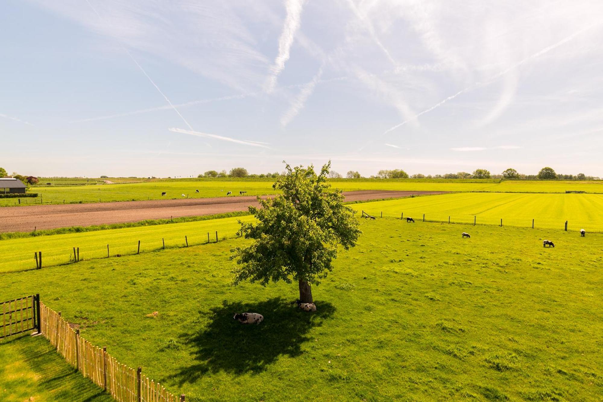 Boerderij De Zalm Bed & Breakfast Schalkwijk Luaran gambar